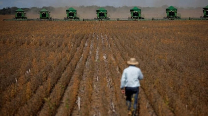 Embrapa: Recursos orçamentários em 2021 são insuficientes, diz sindicato