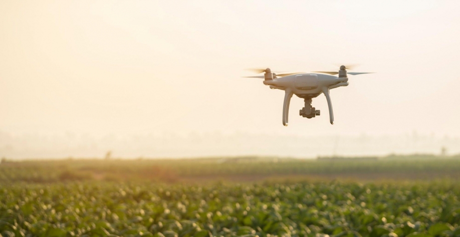 Agtechs crescem e amadurecem modelo de negócio com aportes milionários