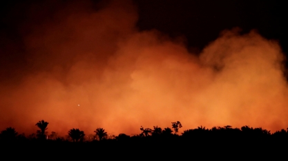 EUA avaliam leis ambientais que limitam compras do Brasil
