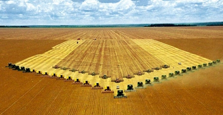 Agricultura do Brasil dribla todas as expectativas de produção e exportação 
