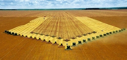 Agricultura do Brasil dribla todas as expectativas de produção e exportação 