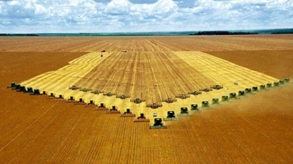 Agricultura do Brasil dribla todas as expectativas de produção e exportação 