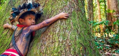 Relação entre Amazônia e agro faz parte da imagem do Brasil