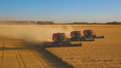  Agro/2021: Investimento em tecnologia,cotações elevadas e câmbio favorável