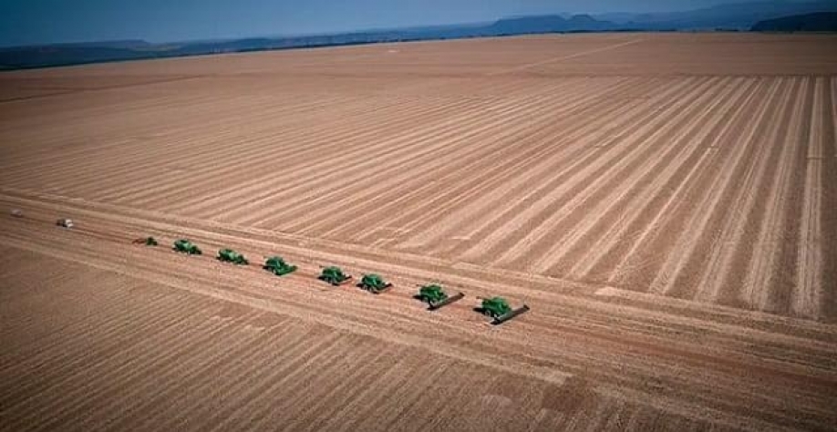 Agronegócio cresce 24,3% em 2020 e responde por mais de 1/4 do PIB do País