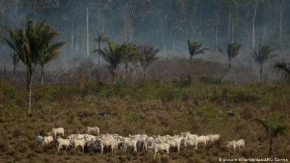 Indígenas processam rede francesa por desmatamento na Amazônia