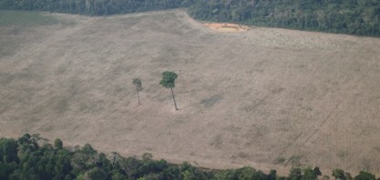 Comissário da UE critica falta de compromisso climático do Brasil