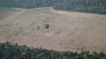 Comissário da UE critica falta de compromisso climático do Brasil
