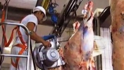  Exportação de carne bovina de março cresce 31% sobre fevereiro