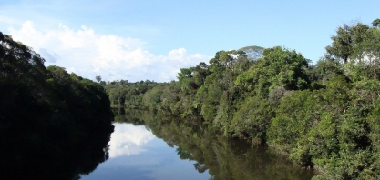  Bolsonaro diz a Biden que desmatamento ilegal será zero e pede US$ 1 bi