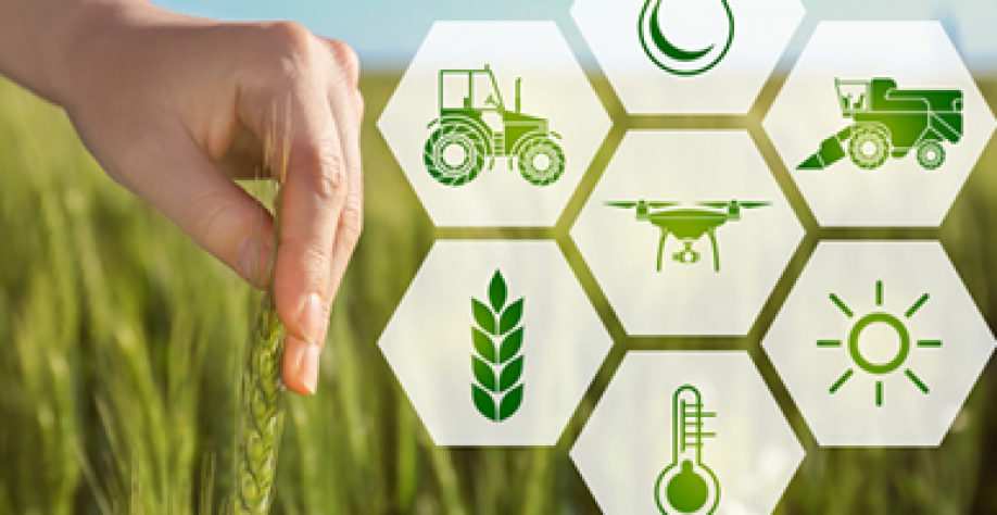 Brasil vai conhecer mais de blockchain, ESG e afins na agricultura dos EUA