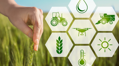 Brasil vai conhecer mais de blockchain, ESG e afins na agricultura dos EUA