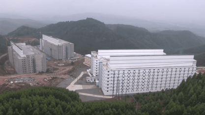 Estoque de suínos vivos aumenta 29,5% no 1º trimestre, diz governo