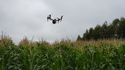 Sistema faz contagem automática de plantas na lavoura por imagens de drones