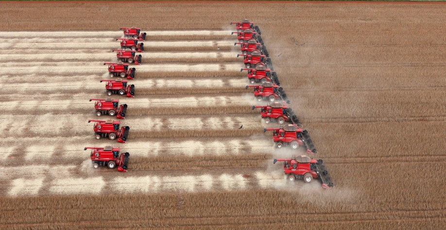 Safra de soja crescerá 8,6%; preço dispara mais de 90%, diz Conab