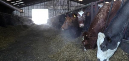 Frigol anuncia fim das operações em unidade goiana e devolução da planta