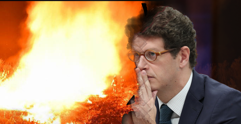 Por que política ambiental do Brasil afasta ajuda financeira internacional?