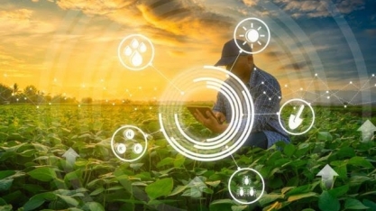 Plano de ações do Agro 4.0 está disponível ao público