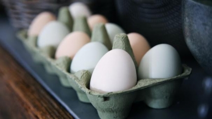  Preço médio do ovo em março bate recorde real da série do Cepea