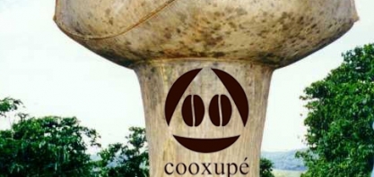 Cooxupé prevê queda de 32% na safra de café em 2021