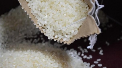 China libera venda de arroz para ração diante de alto preço do milho