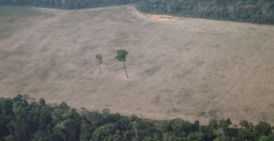 Força Nacional atuará em ações contra desmatamento na Amazônia