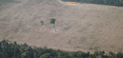 Força Nacional atuará em ações contra desmatamento na Amazônia