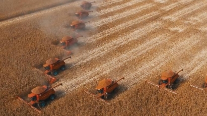 Em plena safra, importação de soja aumenta 215%