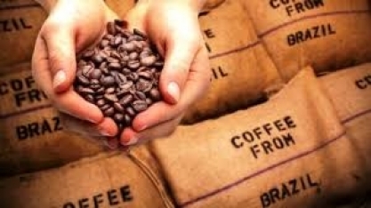 Exportação de café cresce 305% ante março/20, para 4,168 milhões de sacas