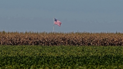 USDA aponta plantio de soja e milho dos EUA menor e preços disparam