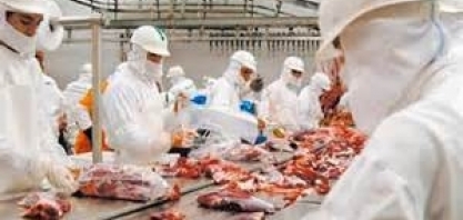 Carne bovina: Exportação em março sobe 8% ante março/20, para 159.422 t 