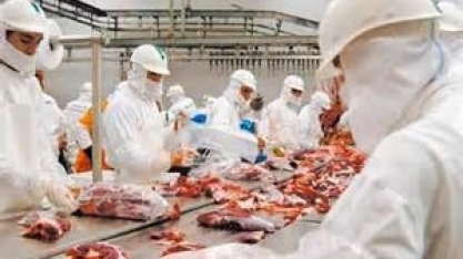 Carne bovina: Exportação em março sobe 8% ante março/20, para 159.422 t 