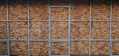 China eleva previsão de importação de milho em 2020/21 a 22 mi de t