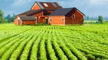 EUA plantam mais soja, mas estoque cai para o menor patamar da história