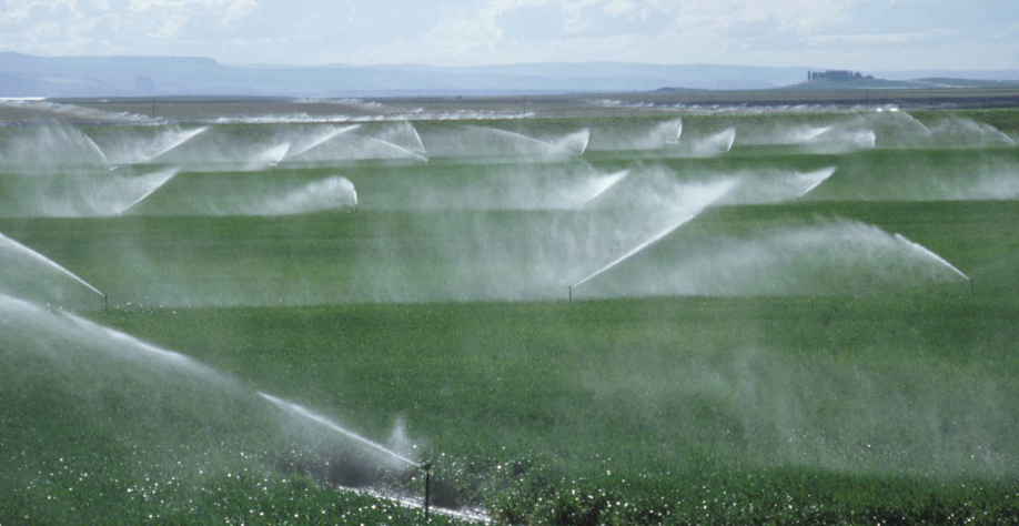 Agricultura lança programa para financiar irrigação no Nordeste