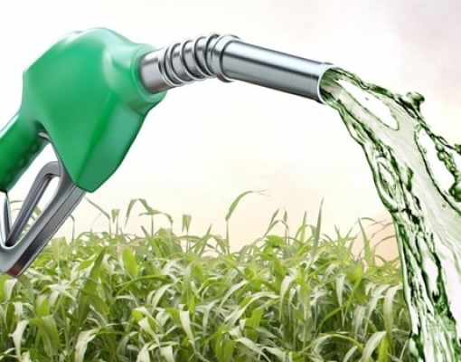 Preço do etanol sobe acima de 15% no primeiro mês de safra 2021/22 