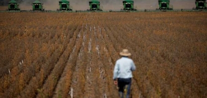 O que fazer para reduzir as emissões de gases pela agropecuária do Brasil?                    