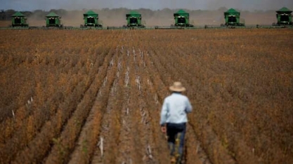 O que fazer para reduzir as emissões de gases pela agropecuária do Brasil?                    