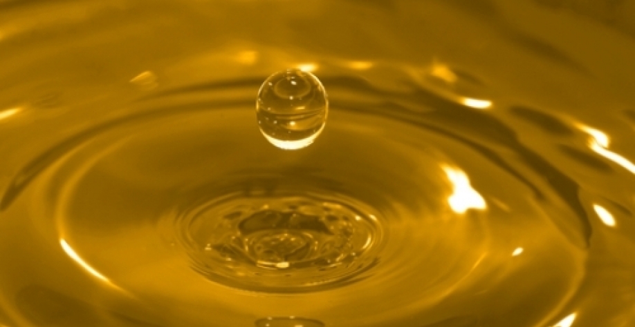 Biodiesel:Consultoria vê desemprego e risco de falências com menor mistura 