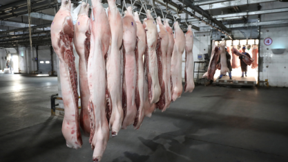 Produção de carne suína da China salta 32% no 1º trimestre
