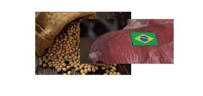 Itamaraty recebe queixas de China e Rússia contra carne e soja do Brasil