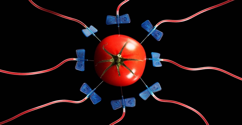 UE começa reavaliação de regras para técnica de edição genética de safras