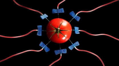 UE começa reavaliação de regras para técnica de edição genética de safras