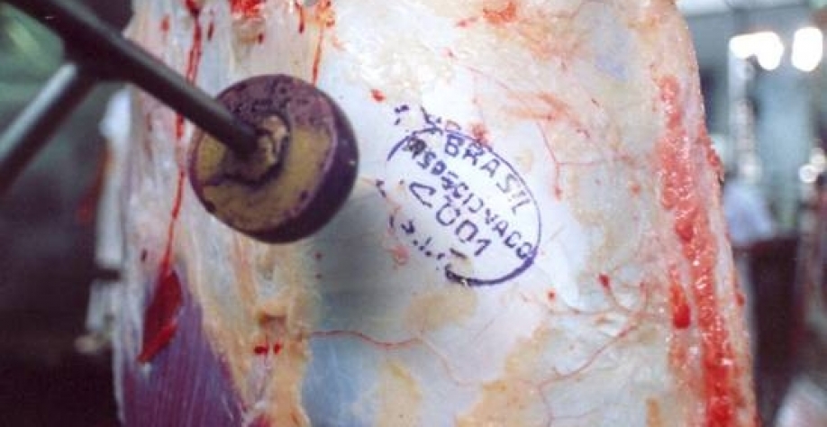 Exportação de carnes reagem em março e crescem em volume e receita