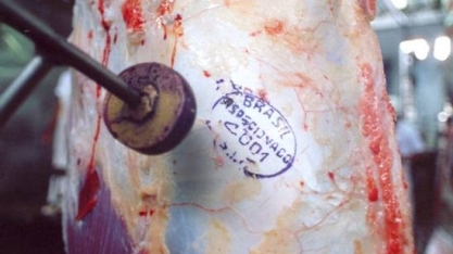 Exportação de carnes reagem em março e crescem em volume e receita