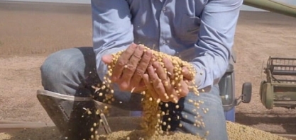 PR: Indicador Cepea de soja  passa a barreira de R$ 170 por saca