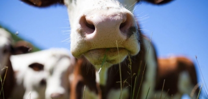 UE se aproxima de acordo sobre políticas agrícolas após 3 anos de disputa