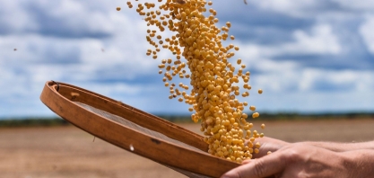 Abiove eleva previsões de safra e exportação de soja e óleo