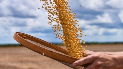 Abiove eleva previsões de safra e exportação de soja e óleo