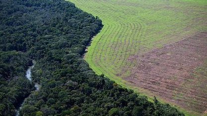 Cresce emissão de títulos verdes do setor agropecuário